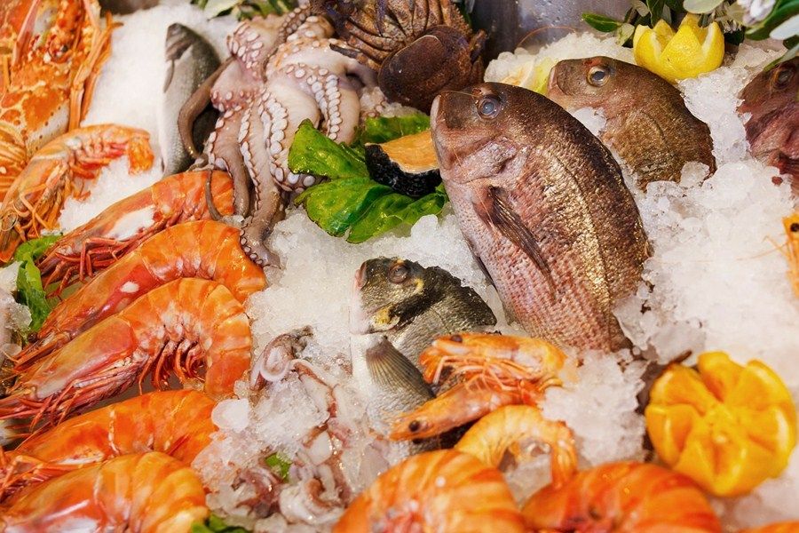 fresh fish