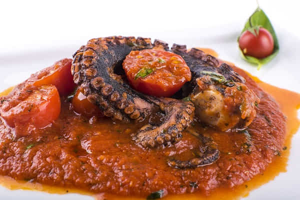 Octopus with red sauce